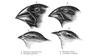 Illustration for article titled 5 Historical Myths About Real Scientific Discoveries